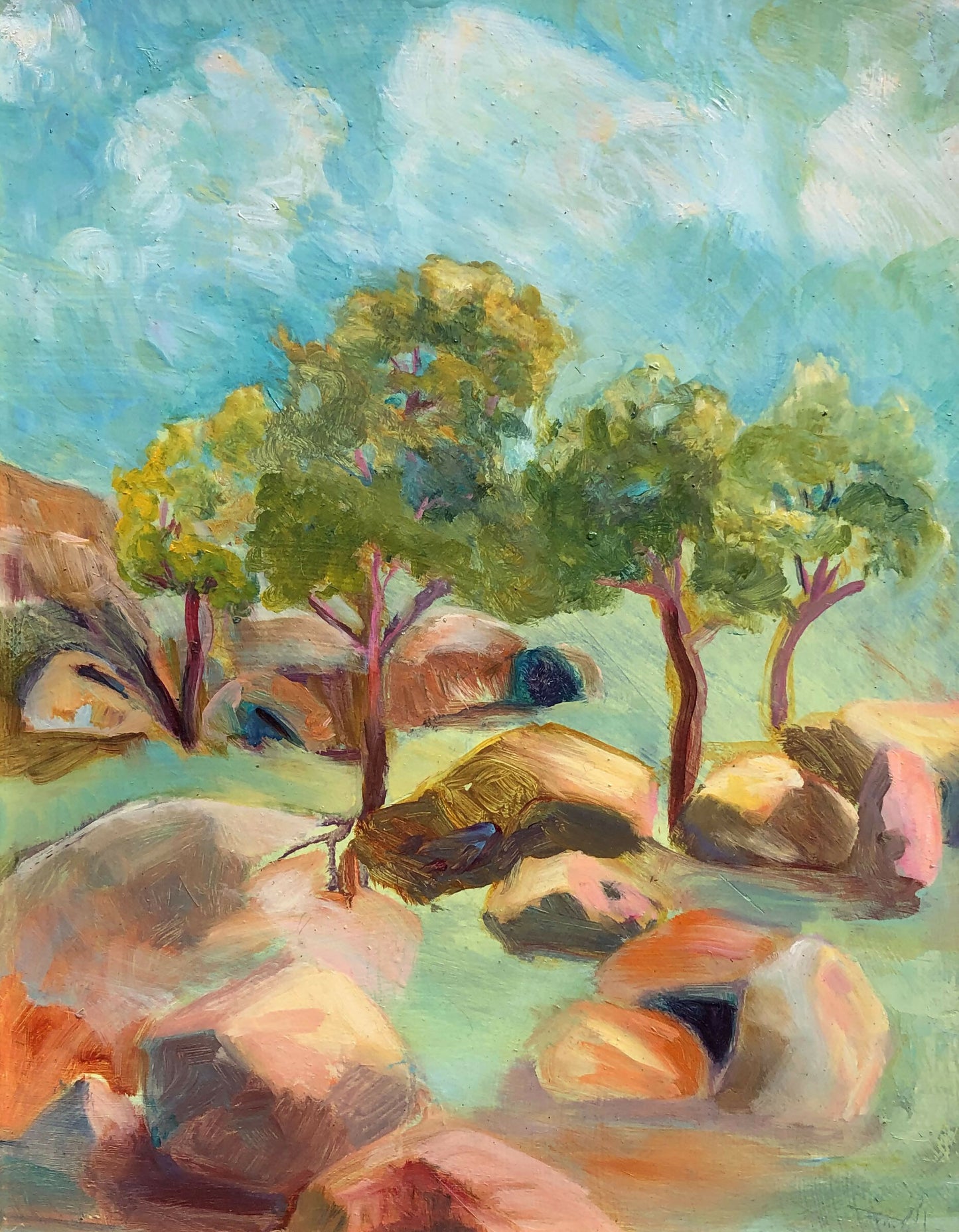 Trees On Apache Ridge